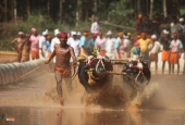 IIP Online Student Photography