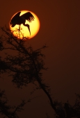 IIP Online Student Photography