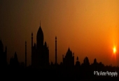 IIP Online Student Photography