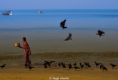 IIP Online Student Photography
