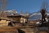 IIP Online Student Photography