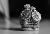 IIP Online Student Photography