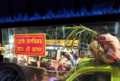 IIP Online Student Photography