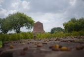 IIP Online Student Photography