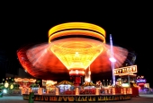 IIP Online Student Photography