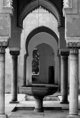 IIP Online Student Photography