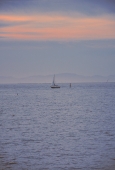 IIP Online Student Photography