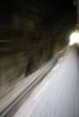IIP Online Student Photography