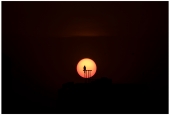 IIP Online Student Photography