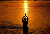 IIP Online Student Photography