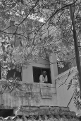 IIP Online Student Photography
