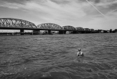 IIP Online Student Photography