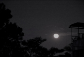 IIP Online Student Photography