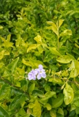IIP Online Student Photography