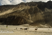IIP Online Student Photography