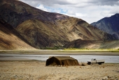 IIP Online Student Photography