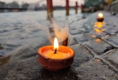 IIP Online Student Photography