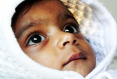 IIP Online Student Photography