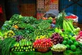 IIP Online Student Photography