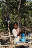 IIP Online Student Photography