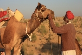 IIP Online Student Photography
