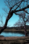 IIP Online Student Photography