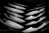 IIP Online Student Photography