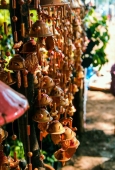 IIP Online Student Photography