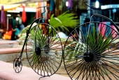 IIP Online Student Photography