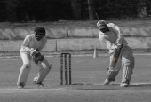 IIP Online Student Photography