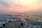 IIP Online Student Photography