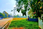 IIP Online Student Photography