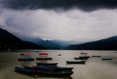 IIP Online Student Photography