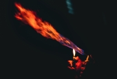 IIP Online Student Photography