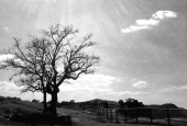 IIP Online Student Photography