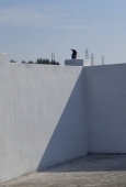 IIP Online Student Photography