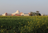 IIP Online Student Photography
