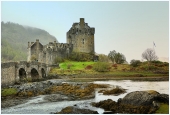 IIP Online Student Photography