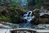 IIP Online Student Photography
