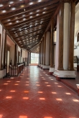 IIP Online Student Photography