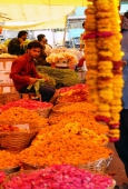 IIP Online Student Photography