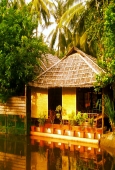 IIP Online Student Photography