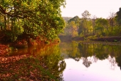 IIP Online Student Photography