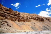 IIP Online Student Photography