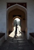 IIP Online Student Photography