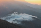 IIP Online Student Photography