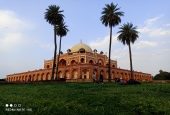 IIP Online Student Photography
