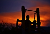 IIP Online Student Photography