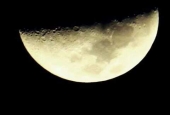 IIP Online Student Photography