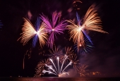 IIP Online Student Photography